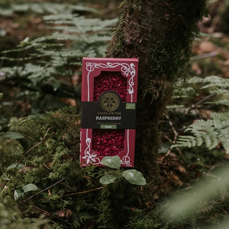 Chocolate Tree - Raspberry Tree