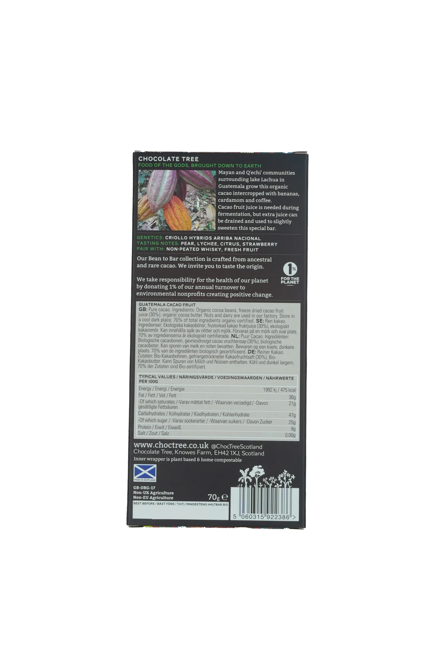 Chocolate Tree - Cacao Fruit BOP