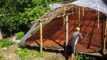 Peru - Chililique 2017