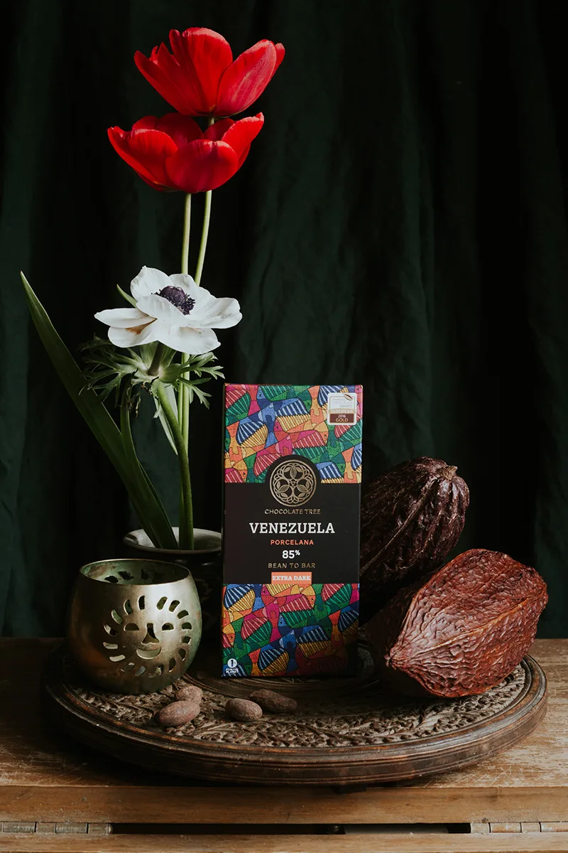 Chocolate Tree - Venezuela with pods