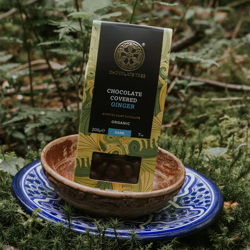 Chocolate Tree - Ginger Fern