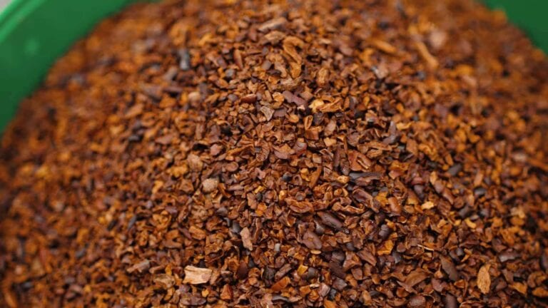 Chocolate Tree - cacao nibs