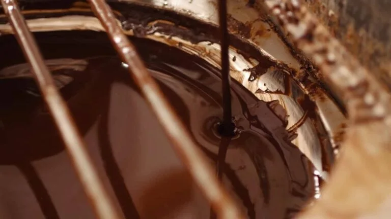 Chocolate Tree - processing chocolate