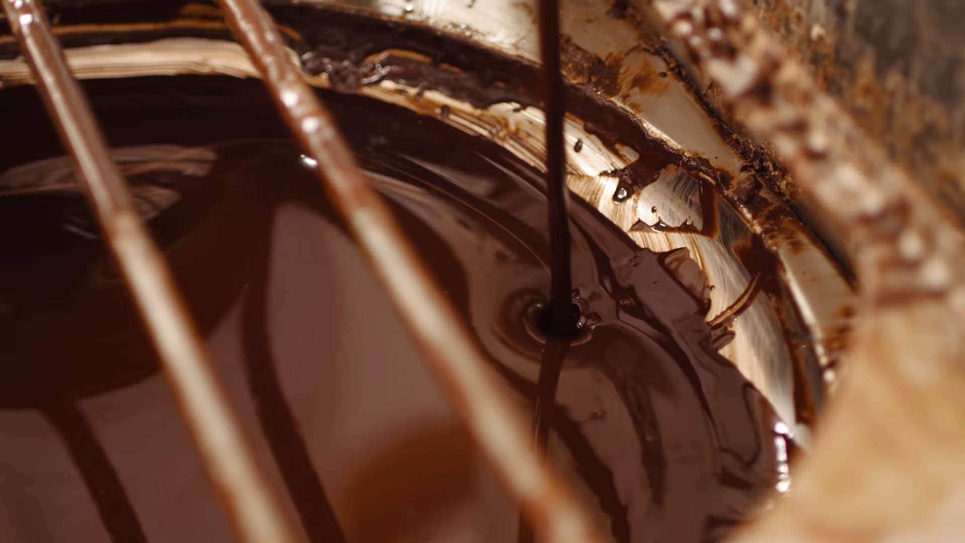 Chocolate Tree - processing chocolate