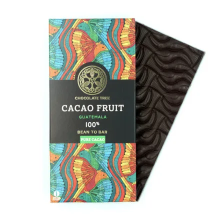Chocolate Tree - Cacao Fruit