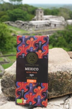 mexico bar at palenque 2