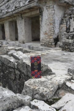 mexico bar at palenque