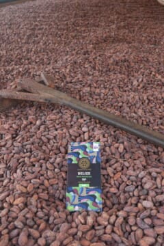 maya mountain bar in beans