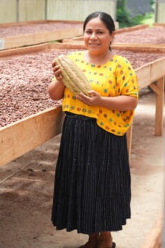cacao lady with pod
