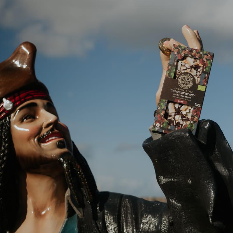 Treasure Island pirate